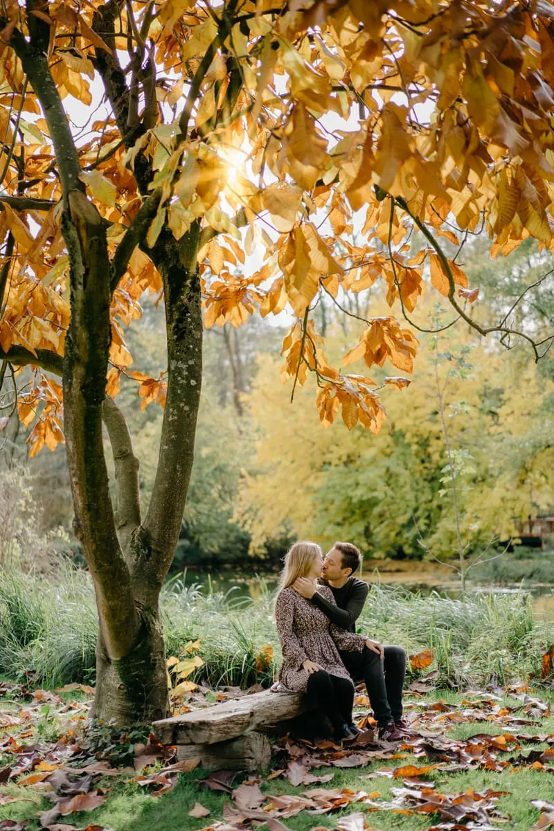 Paarfotoshooting Köln, Paarshooting Köln, Paarfotografie köln, Paarshooting Aachen, Paarshooting Düren, Portraitshooting,, Paar sitzt auf Bank unter herbstlich gefärbten Baum im Sonnenuntergang